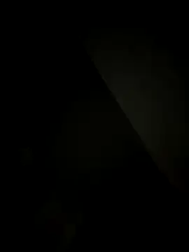 SienaWild online show from 12/20/25, 04:15