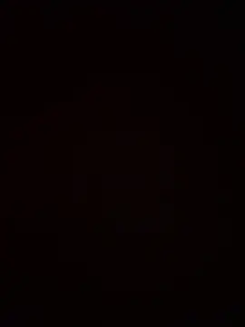 SienaWild online show from 01/09/26, 08:38