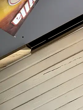 SienaWild online show from 12/01/25, 03:18