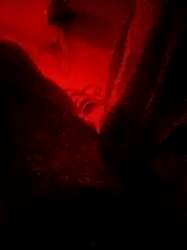 Snapshot of meenahotdarling chatting on 09/20/25, 04:34 meenahotdarling online show from 09/20/25, 04:34