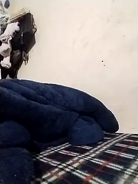 Snapshot of Rapunzal chatting on 02/12/26, 06:51 Rapunzal online show from 02/12/26, 06:51