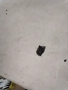 Snapshot of Rapunzal chatting on 03/23/26, 06:08 Rapunzal online show from 03/23/26, 06:08