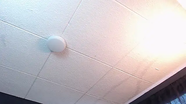 RichardMilleer online show from 02/16/26, 01:43