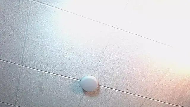 RichardMilleer online show from 11/12/25, 02:21