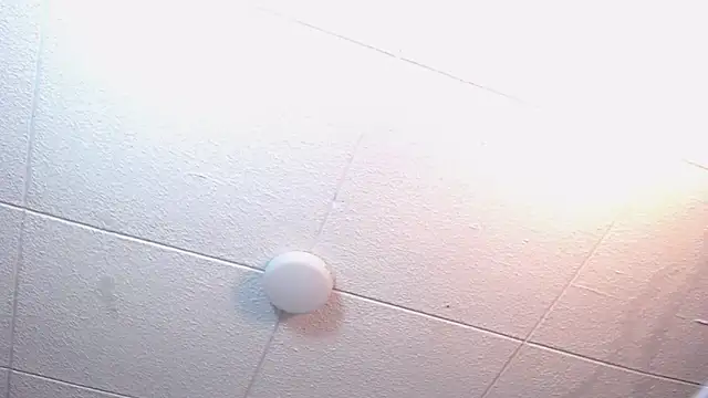 RichardMilleer online show from 02/24/26, 01:56