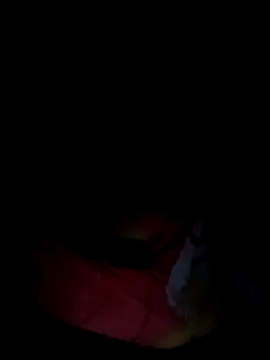 Rosabela04 online show from 02/12/26, 08:03