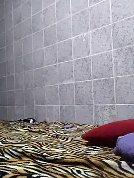 Cachorrinha2025 online show from 11/12/25, 01:43