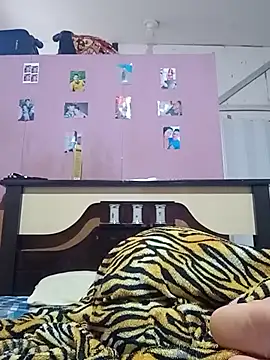 Cachorrinha2025 online show from 11/18/25, 08:39