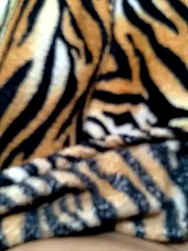 Cachorrinha2025 online show from 10/15/25, 09:39