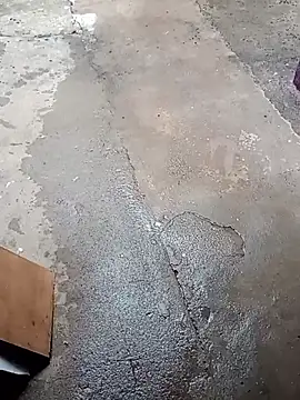 Cachorrinha2025 online show from 11/17/25, 06:45