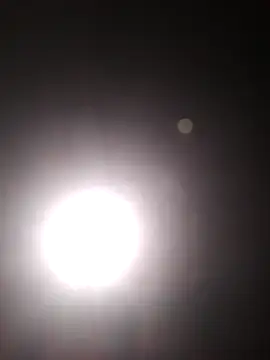 Cachorrinha2025 online show from 10/22/25, 05:45