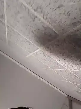 Cachorrinha2025 online show from 10/12/25, 09:54