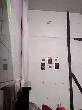 Cachorrinha2025 online show from 10/14/25, 09:36