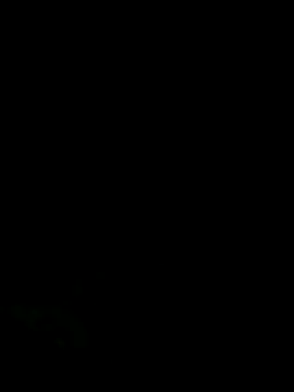 panganamno online show from 11/25/25, 05:35