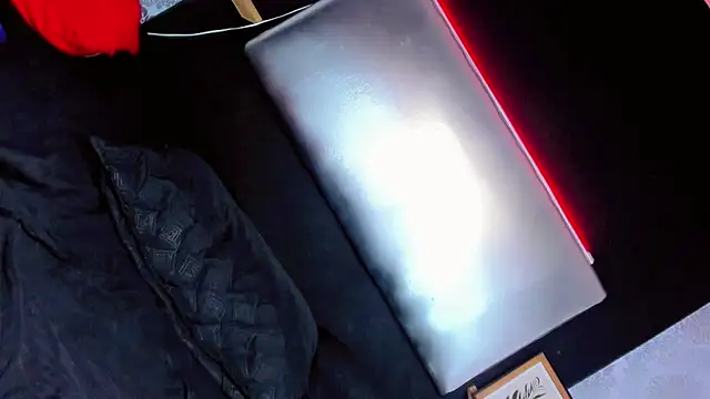 daniela dolls online show from 11/13/25, 11:25