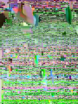 LenaZii online show from 02/07/26, 05:26