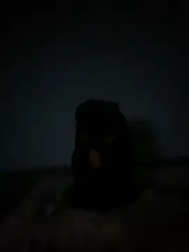 slaveboyrimmer online show from 01/17/26, 10:57