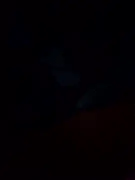 Jarektchurzewski online show from 02/13/26, 12:32