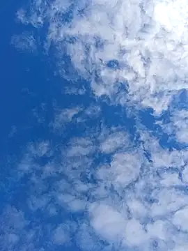 matatan0323 online show from 04/13/26, 02:10