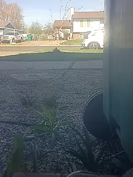 matatan0323 online show from 03/29/26, 04:30