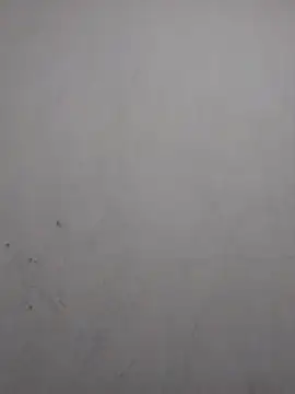 sweet bella16 online show from 11/02/25, 07:46