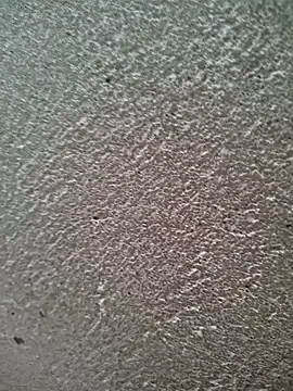 bold guy 1234 online show from 03/30/26, 06:04