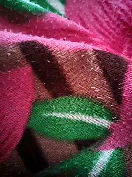 bold guy 1234 online show from 10/15/25, 05:06