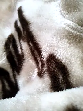 bold guy 1234 online show from 12/17/25, 05:34