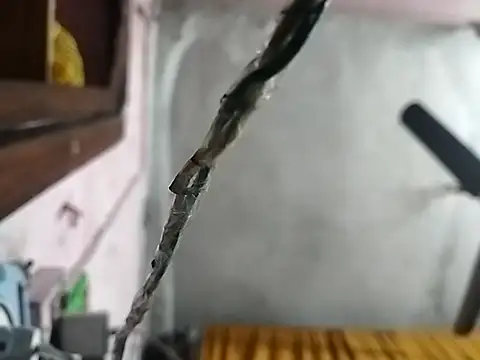 kunal bold online show from 11/14/25, 04:54