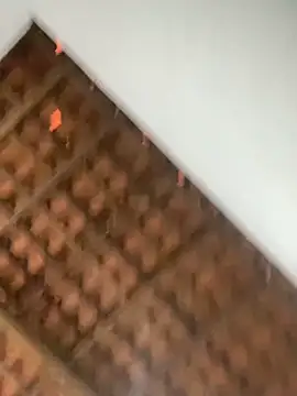 Snapshot of Milenvs chatting on 03/05/26, 12:24 Milenvs online show from 03/05/26, 12:24