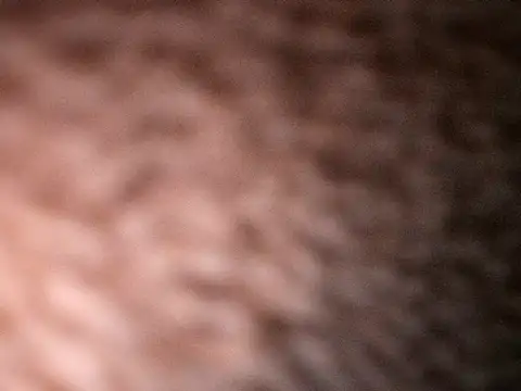 Milenvs online show from 10/20/25, 07:53