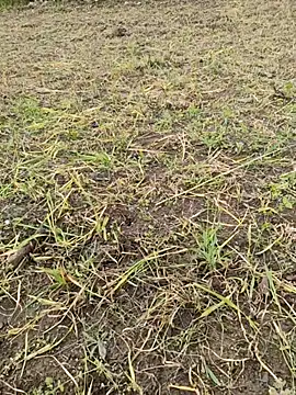 karandeep Bhagat online show from 03/26/26, 10:46