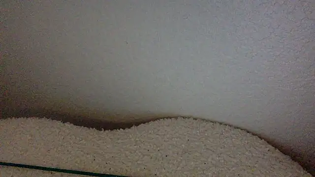 Texxaspearl online show from 03/31/26, 12:51