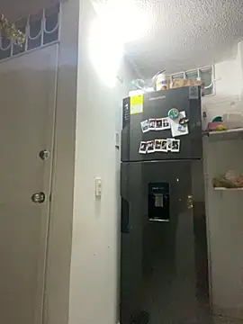 camila1 torres  online show from 12/19/25, 03:21