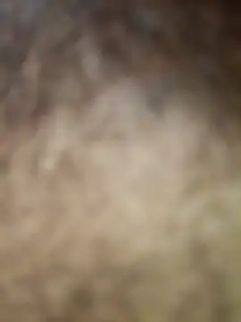 rashid-khan786 online show from 04/22/26, 08:32