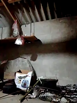 donna-bae online show from 04/12/26, 10:13