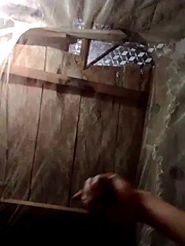 donna-bae online show from 02/22/26, 10:33