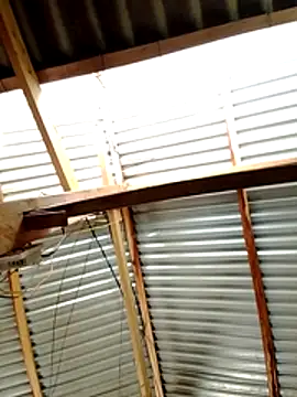 donna-bae online show from 03/19/26, 04:34