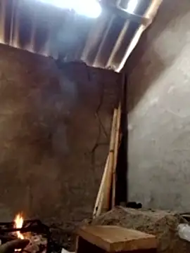 donna-bae online show from 03/13/26, 04:28