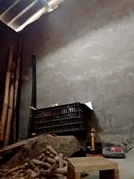 donna-bae online show from 02/04/26, 03:34