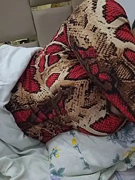 Feel the Fun online show from 02/28/26, 05:23