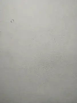 ms-naina online show from 04/07/26, 05:04