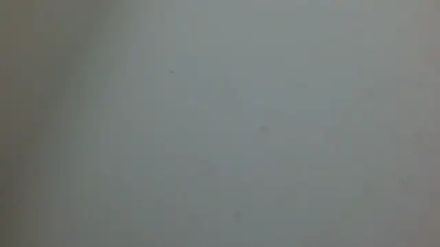 cristal1609 online show from 05/14/26, 01:08