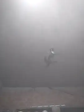 Hott cutgirl online show from 11/15/25, 04:00