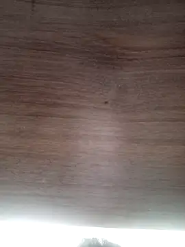 ValeriaLove43211 online show from 03/06/26, 06:41