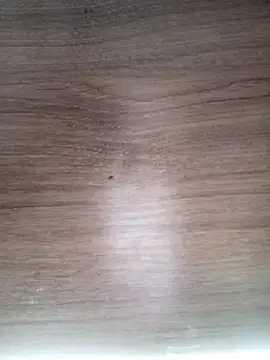 ValeriaLove43211 online show from 03/13/26, 06:29