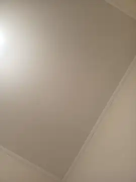 ValeriaLove43211 online show from 03/02/26, 06:59