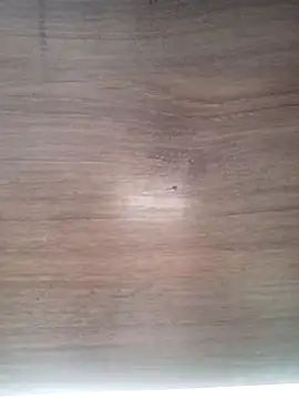 ValeriaLove43211 online show from 03/31/26, 07:21