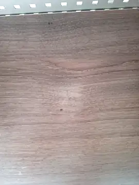 ValeriaLove43211 online show from 04/06/26, 07:53