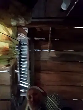 callistra online show from 04/09/26, 04:36